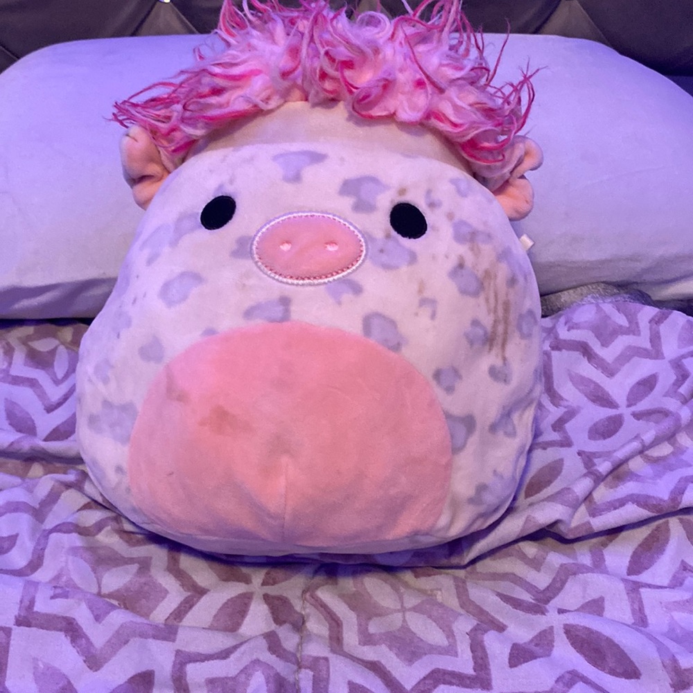 Roses the squishdoo